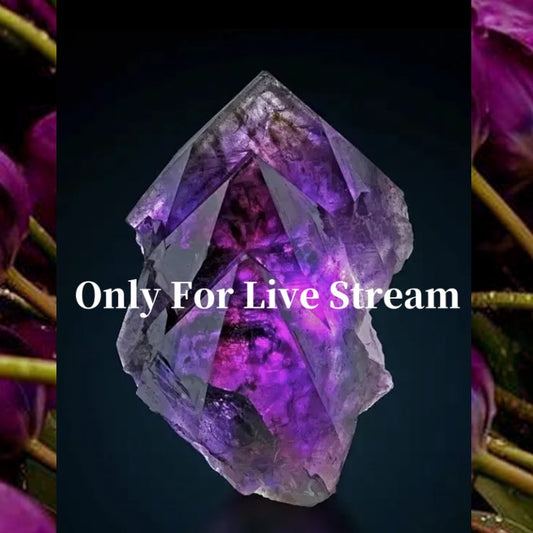 Only For Live Stream  If You Came From Our Tk Live Stream This is for You!